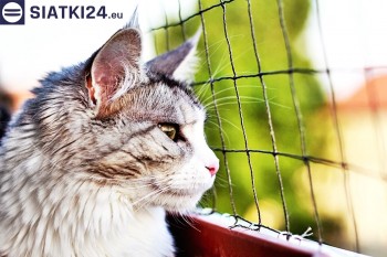 Siatki Głubczyce - Siatka na balkony dla kota i zabezpieczenie dzieci dla terenów Głubczyc